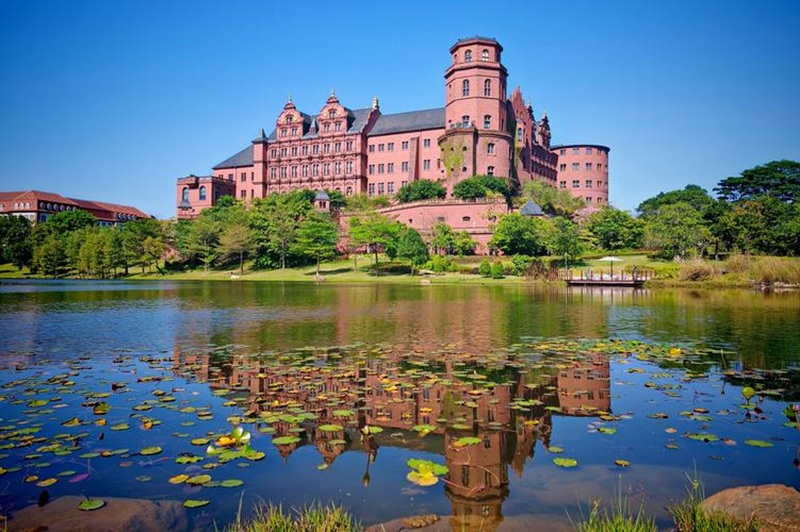 学标杆平台携手华为，解锁创新文化密码 ——