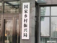    国家乡村振兴局挂牌，王正谱为首任局长