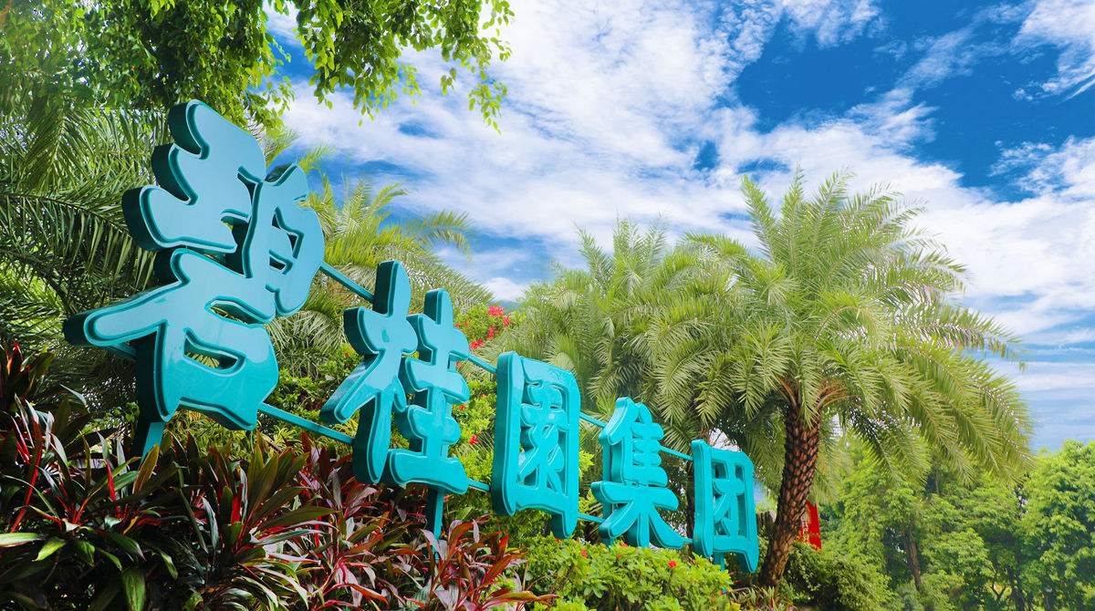 碧桂园总部标杆考察