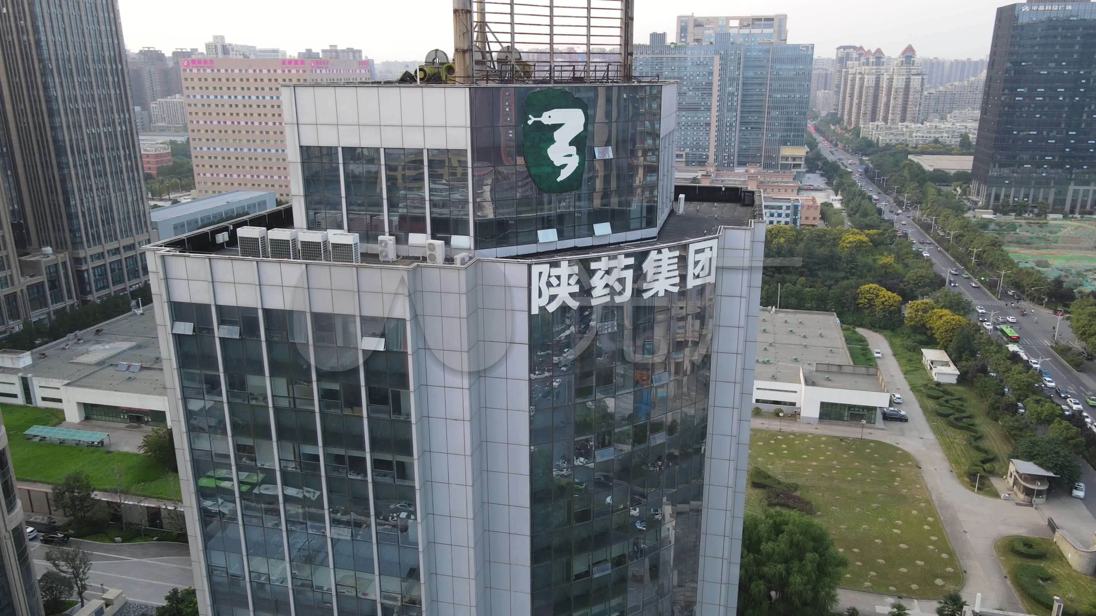 陕西医药控股集团